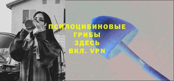 спиды Заводоуковск