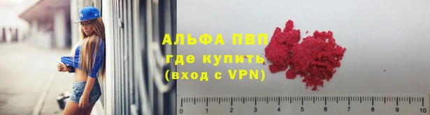 спиды Заводоуковск