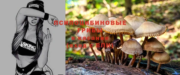 спиды Заводоуковск