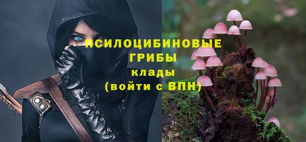 Альфа ПВП Заволжск