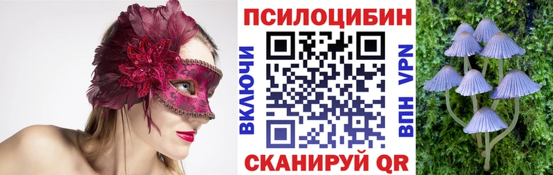 Купить закладки  Дивногорск  Псилоцибиновые грибы мухоморы 